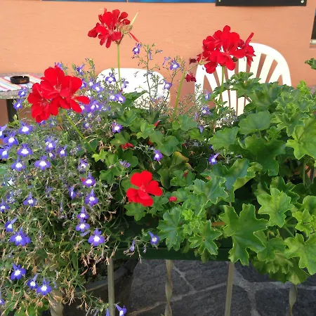Ristorante Lucca فندق